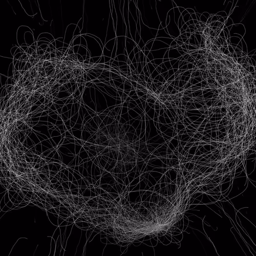 Phototaxis #970