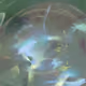 288000227
