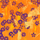 Fragments of an Infinite Field #218