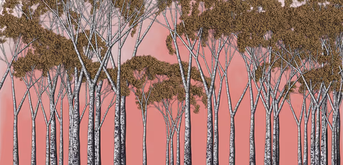 Item #254000006 Media