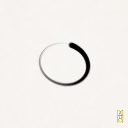 Ensō #899