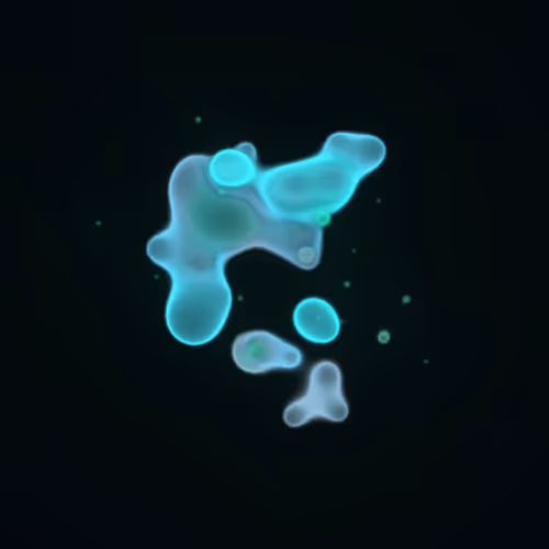 Item #62000167 Media