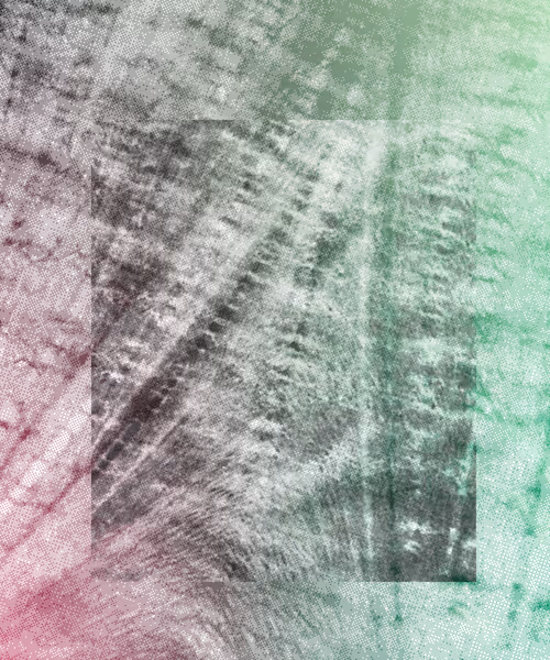 Item #317000193 Media