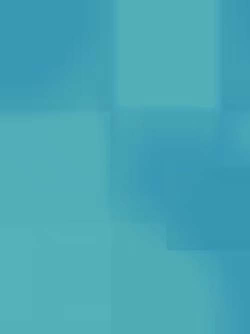 Item #332000338 Media