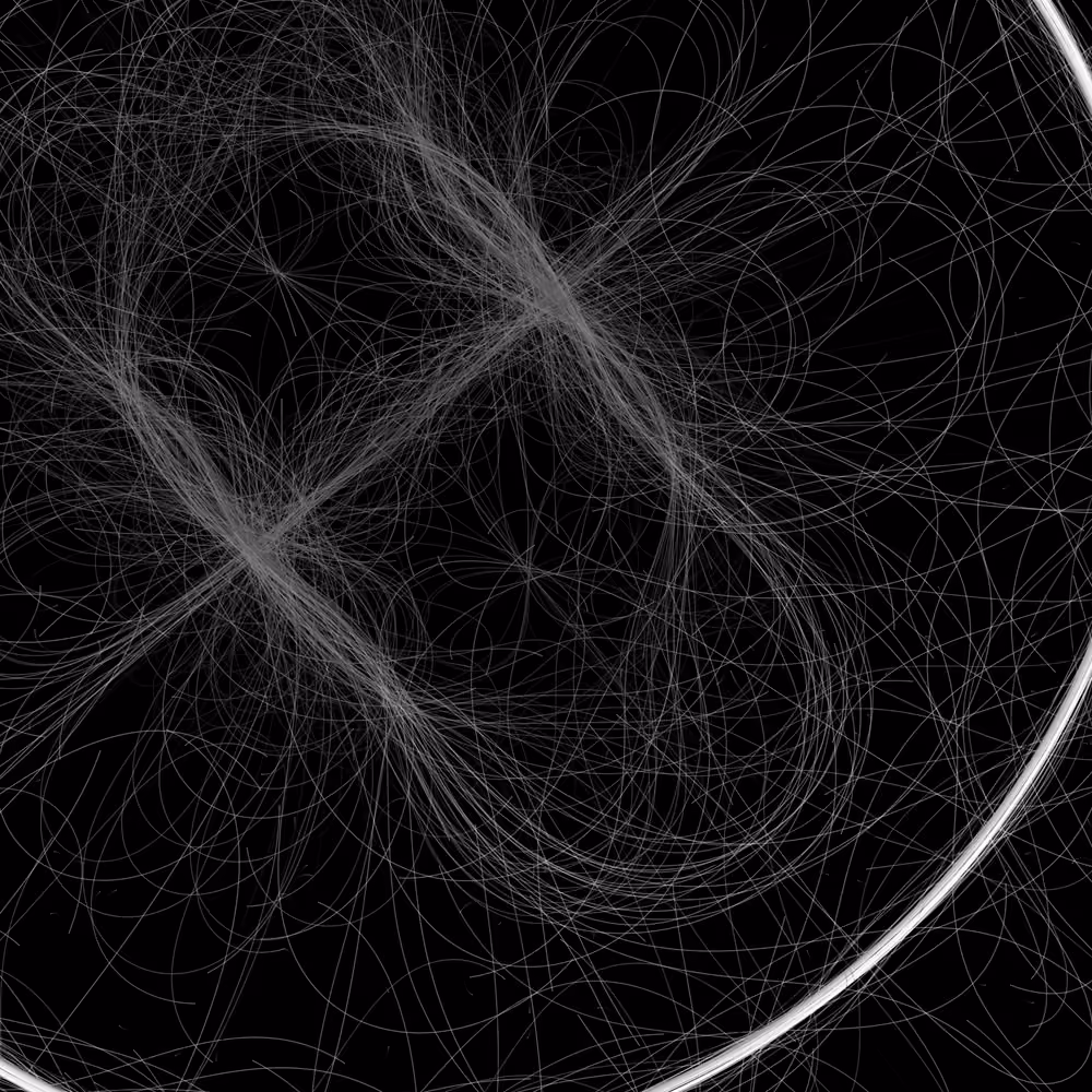 Phototaxis #972