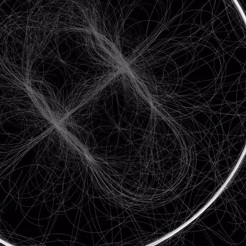 Phototaxis #972