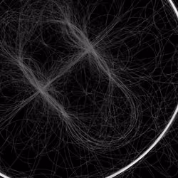 Phototaxis #972