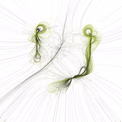 Phototaxis #951