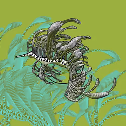Seadragons #770