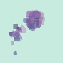 Bloom #164