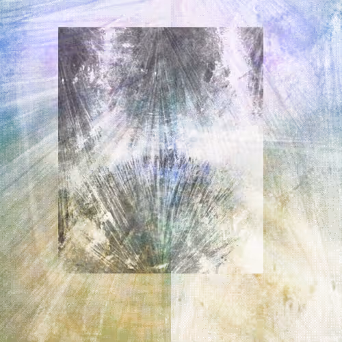 The Spring Begins With The First Rainstorm By Cole