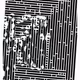 204000668