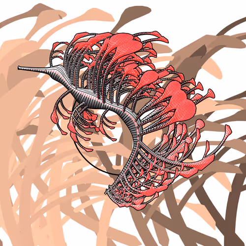 Seadragons #728