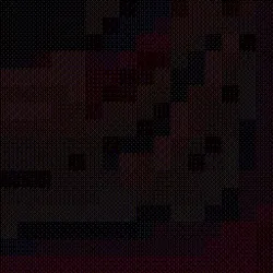 phase #319