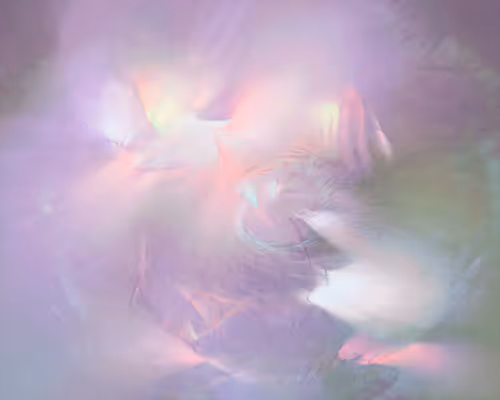 Item #288000225 Media