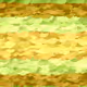 149000155