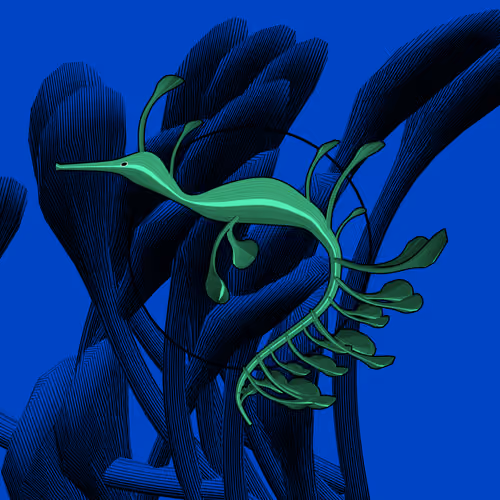 Seadragons #839