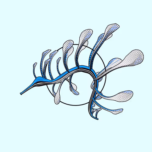 Item #160000054 Media