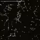 47000003