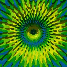 Item #225000989 Media