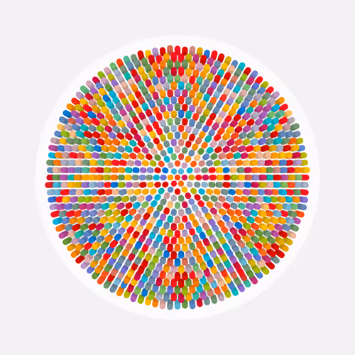 Transitions By Jason Ting X Matt Bilfield