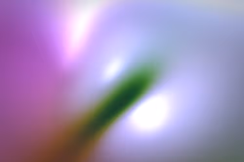 Item #296000402 Media