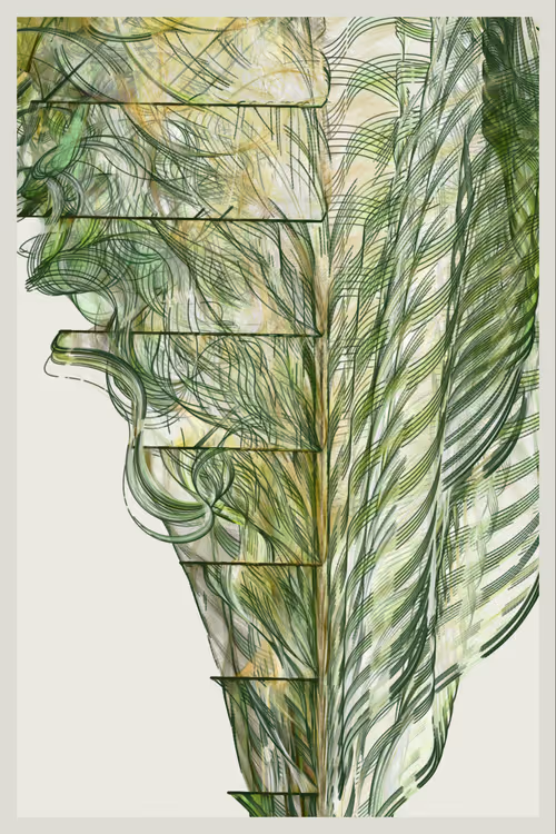 Item #361000304 Media