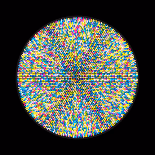 Transitions By Jason Ting X Matt Bilfield