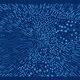 235000001