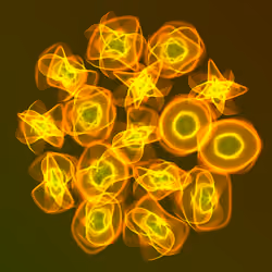 Flowers #4043