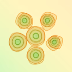 Flowers #2130