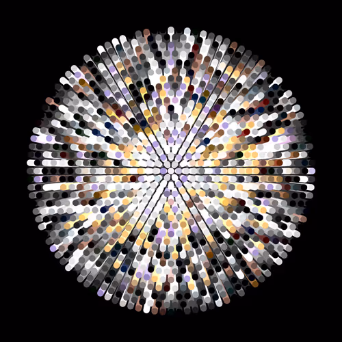 Transitions By Jason Ting X Matt Bilfield