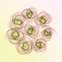 Flowers #5152