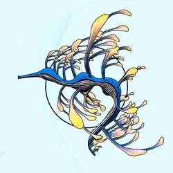 Seadragons #326