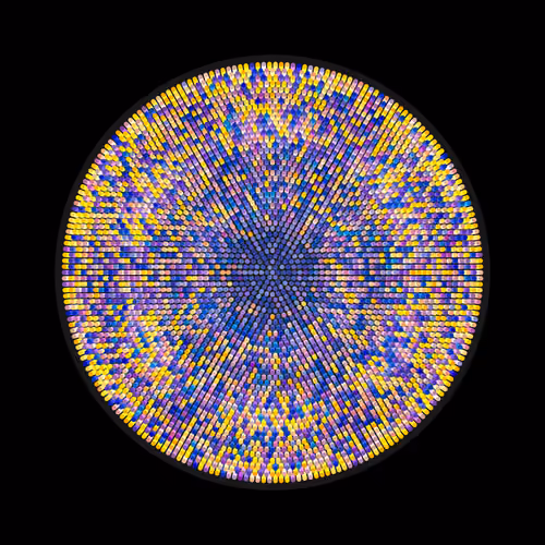 Transitions #1737