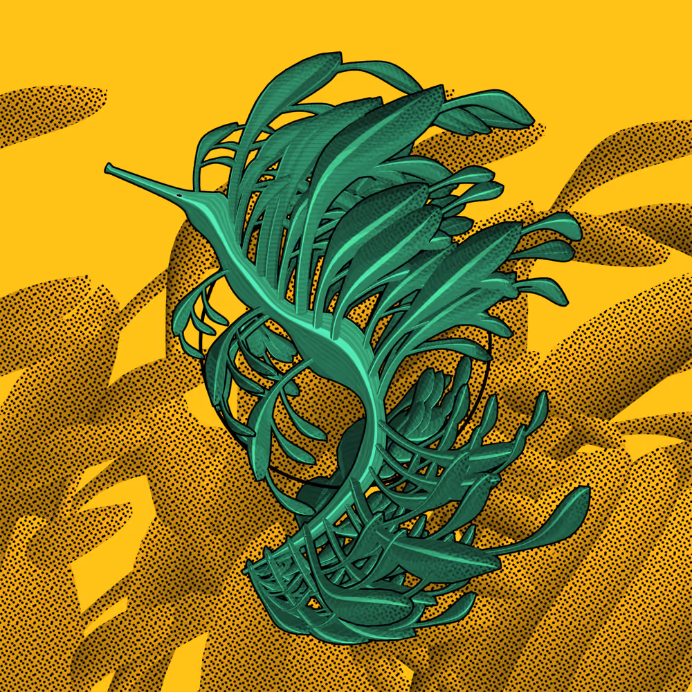 Seadragons #995