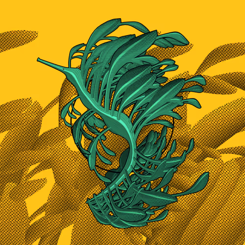 Seadragons #995