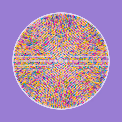 Transitions By Jason Ting X Matt Bilfield