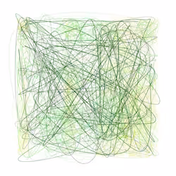 Scribbled Boundaries #213