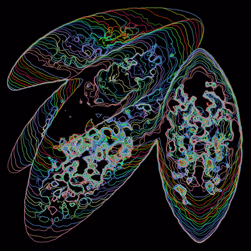 Primordial By Jacob Gold
