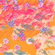 Fragments of an Infinite Field #698