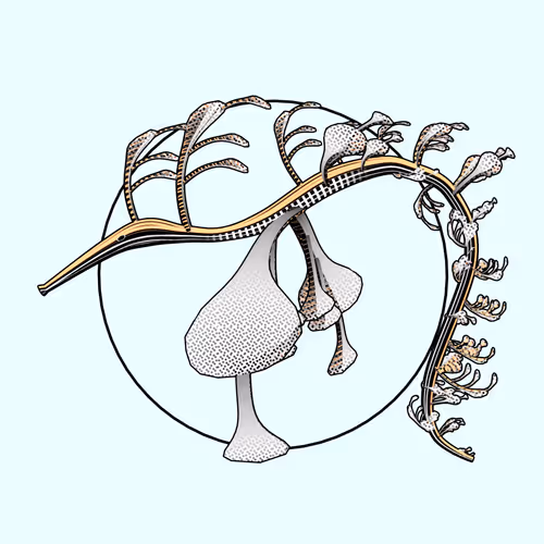 Item #160000743 Media