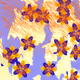 Fragments of an Infinite Field #1009