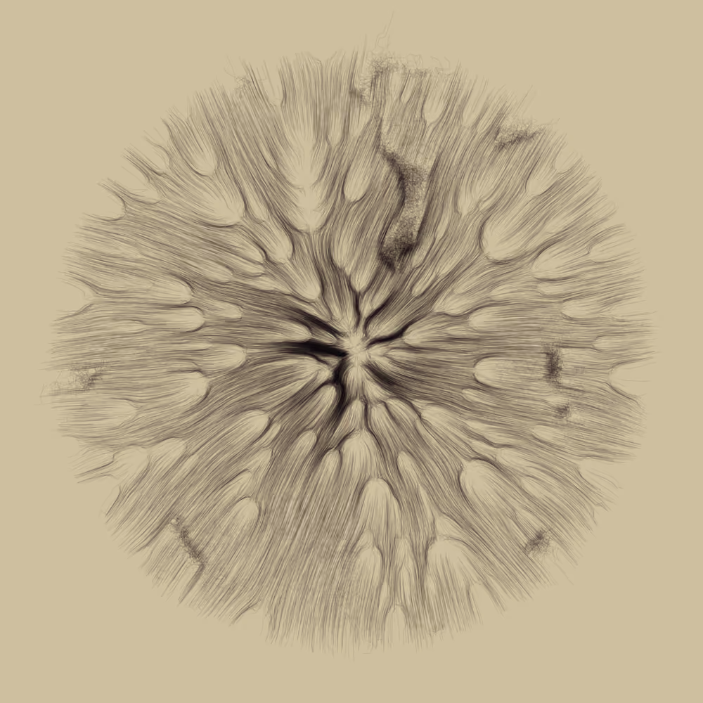 Gravity 16 #991