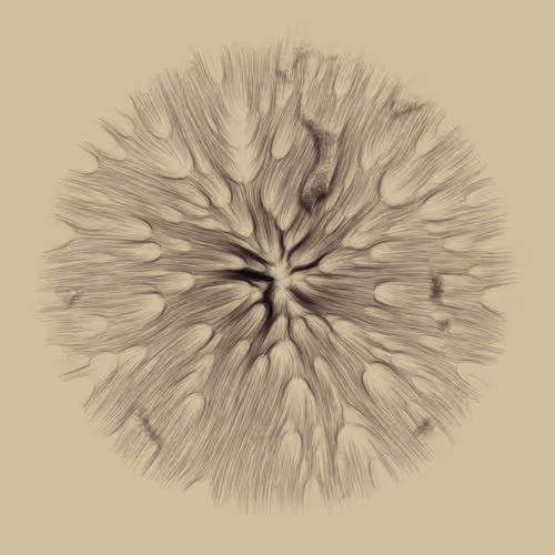 Gravity 16 #991