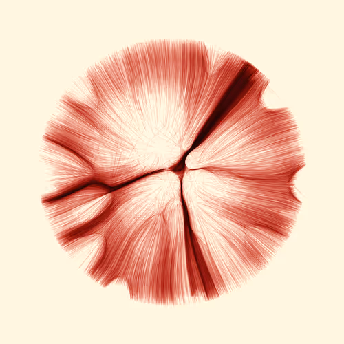 Item #96000482 Media