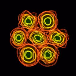 Flowers #3689