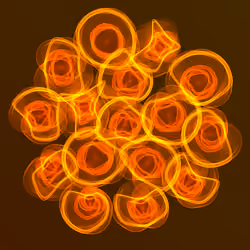 Flowers #3546