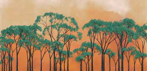 Item #254000081 Media