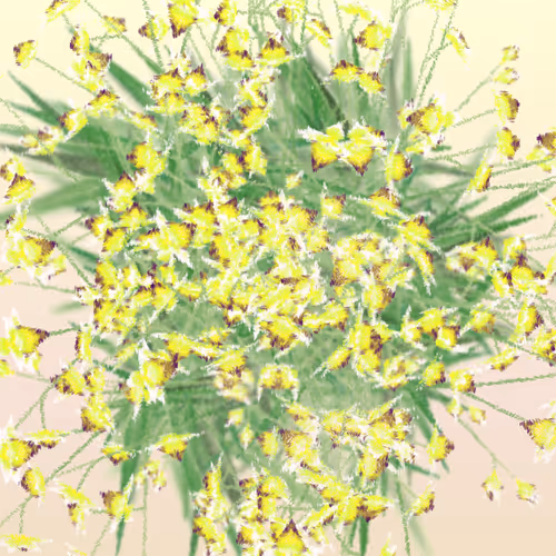 Item #308000144 Media